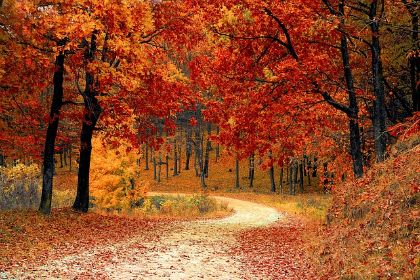 Scene e Melodie d'Autunno Scene e Melodie d'Autunno