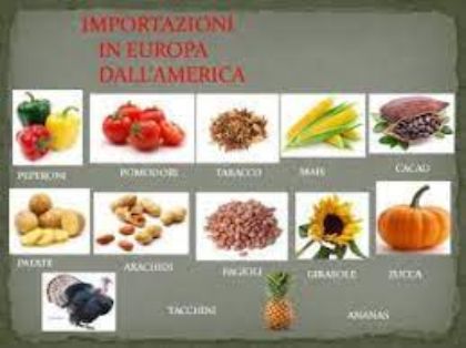 Arrivano gli americani: mais, fagioli, patate, pomodori Arrivano gli americani: mais, fagioli, patate, pomodori