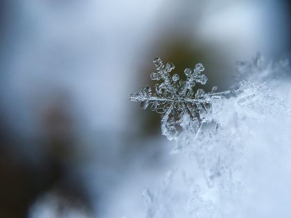 Una finestra sull'inverno