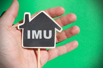 IMU