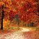 Scene e Melodie d'Autunno